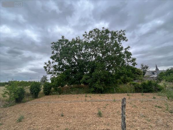 Terrain à Batir à vendre à Marolles dans le Loir-et-Cher (41330), ref : 41002-1090672