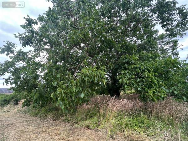 Terrain à Batir à vendre à Marolles dans le Loir-et-Cher (41330), ref : 41002-1090672