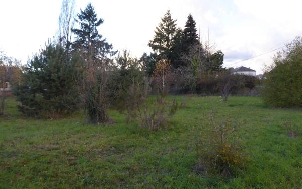 Terrain à vendre    Dhuizon