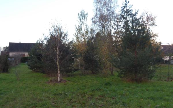 Terrain à vendre    Dhuizon