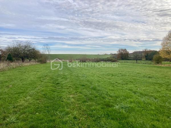 Terrain de 10 137 m²