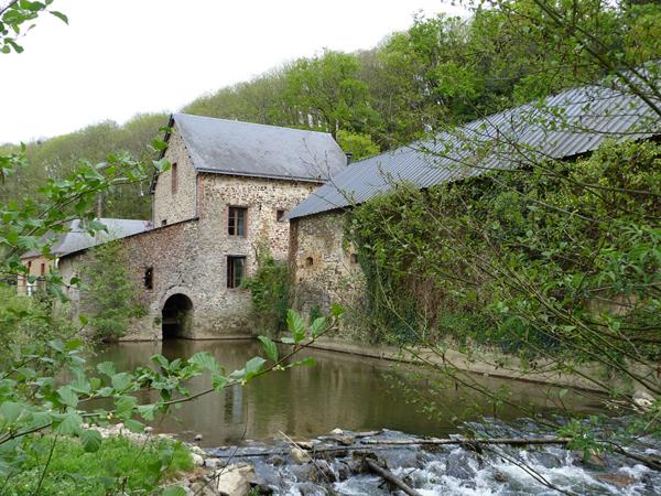 CRAON - ancien moulin, deux autres maisons , 4 ha de pré et bois. , Craon CRAON - ancien moulin, deux autres maisons , 4 ha de pré et bois. , Craon