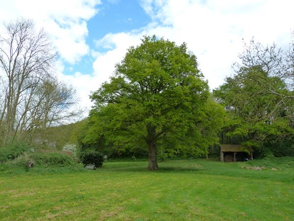 CRAON - ancien moulin, deux autres maisons , 4 ha de pré et bois. , Craon CRAON - ancien moulin, deux autres maisons , 4 ha de pré et bois. , Craon