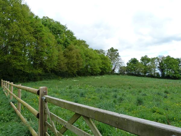 CRAON - ancien moulin, deux autres maisons , 4 ha de pré et bois. , Craon CRAON - ancien moulin, deux autres maisons , 4 ha de pré et bois. , Craon