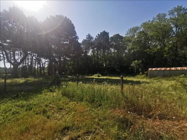 Terrain à bâtir à vendre |  Saint-Aubin-de-Médoc |  600 m²