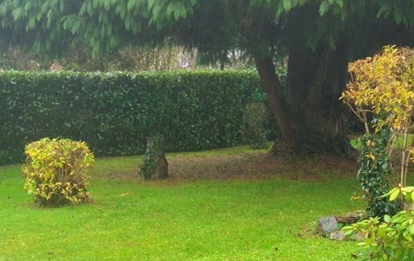 Vente Maison Chateauneuf-la-foret   