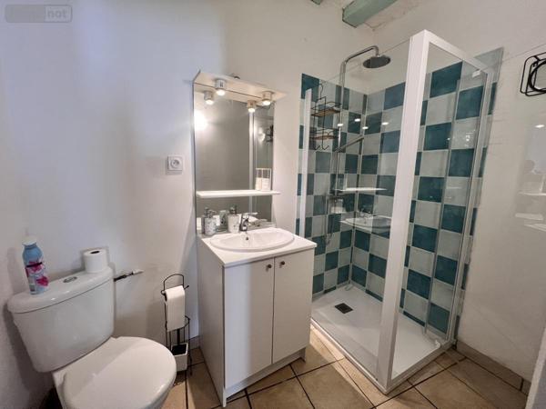 Maison à vendre à Saint-Aignan dans le Loir-et-Cher (41110), ref : 41033-1719