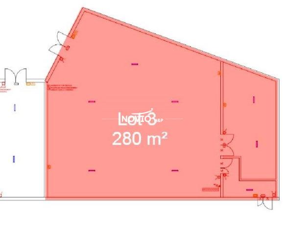 Local neuf 280 m²