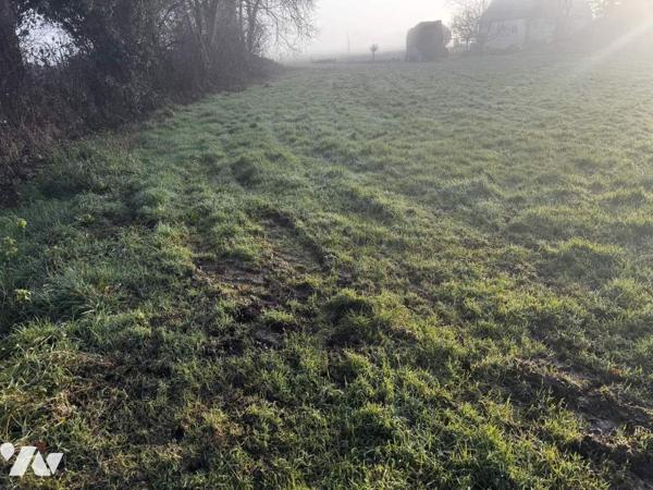 Terrain 1960 M² SAINT CONNEC