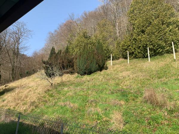 Maison restaurée avec jolie vue et terrain