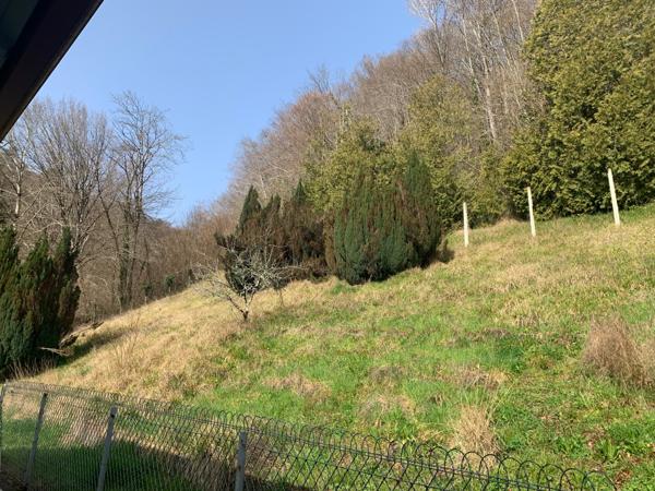 Maison restaurée avec jolie vue et terrain