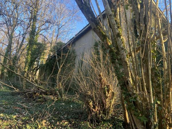 Maison a rénover entièrement