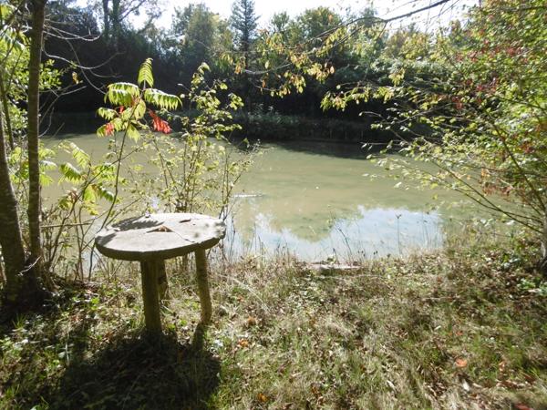 terrain de loisirs plus de 1 hectares 2 étangs et bord de rivière