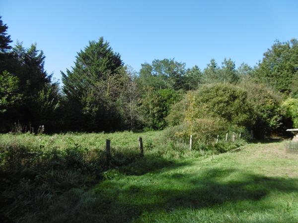 terrain de loisirs plus de 1 hectares 2 étangs et bord de rivière