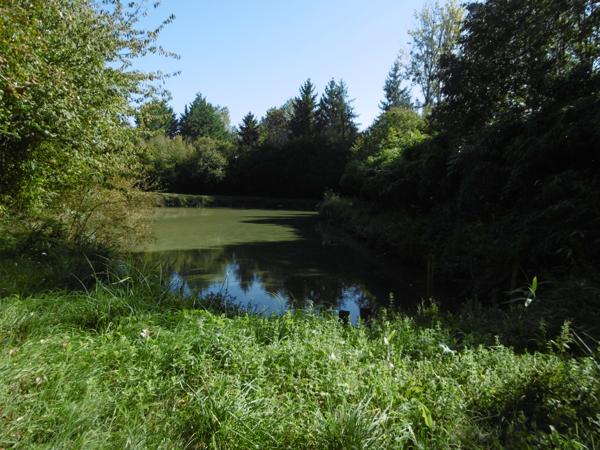 terrain de loisirs plus de 1 hectares 2 étangs et bord de rivière