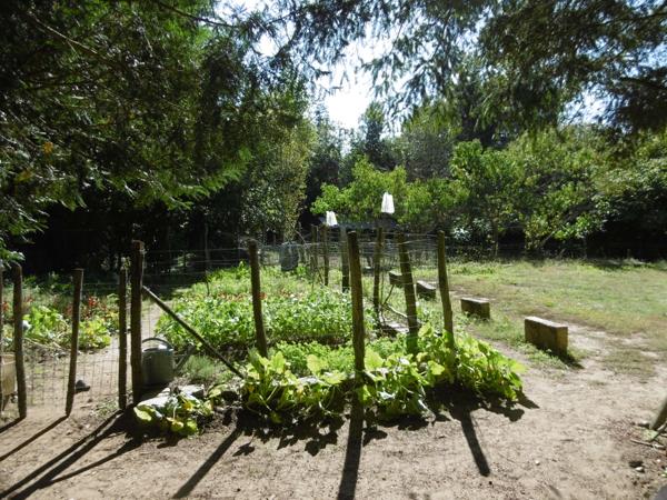 terrain de loisirs plus de 1 hectares 2 étangs et bord de rivière