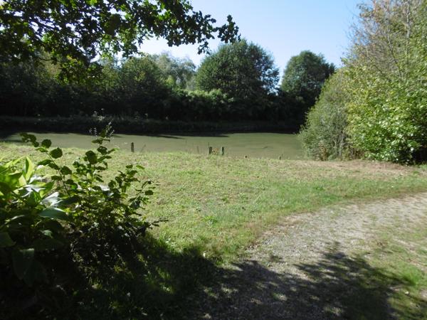 terrain de loisirs plus de 1 hectares 2 étangs et bord de rivière