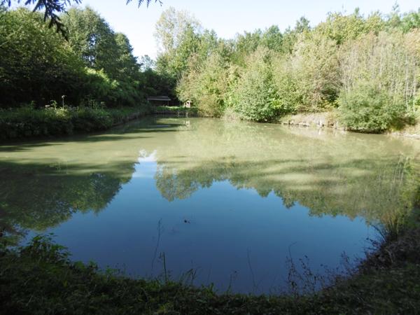 terrain de loisirs plus de 1 hectares 2 étangs et bord de rivière