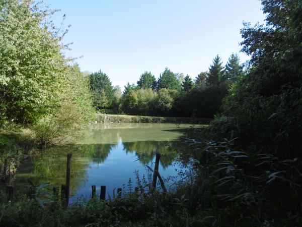 terrain de loisirs plus de 1 hectares 2 étangs et bord de rivière