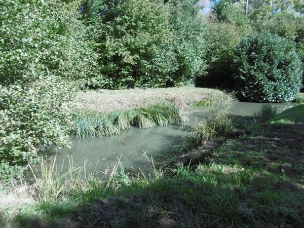 terrain de loisirs plus de 1 hectares 2 étangs et bord de rivière