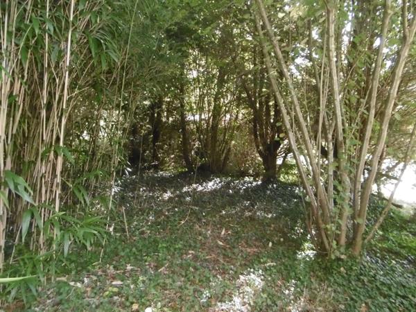 terrain de loisirs plus de 1 hectares 2 étangs et bord de rivière