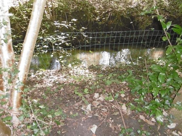 terrain de loisirs plus de 1 hectares 2 étangs et bord de rivière