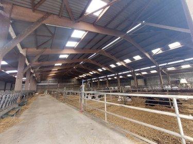 Divers à vendre à Cossé-le-Vivien en Mayenne (53230), ref : 53032-1065