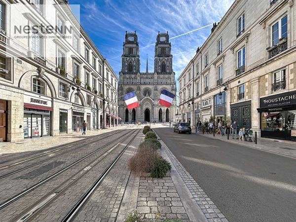 ORLEANS CATHEDRALE  JEANNE D'ARC - APPARTEMENT SOMPTUEUX / 2 PIECES / ORLEANS / CAVE / CALME