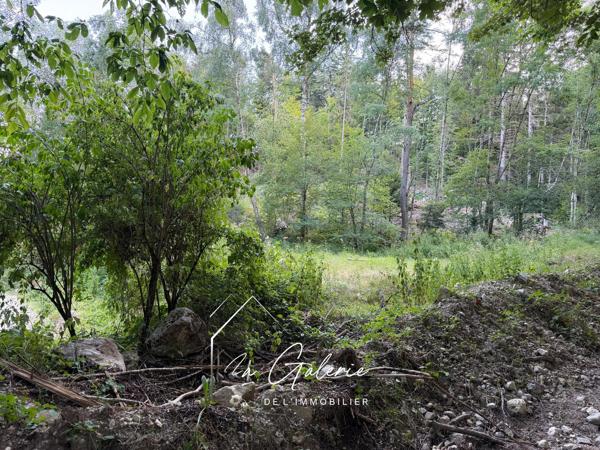MAGNIFIQUE GRANGE A RENOVER AU PEUIL A CLAIX