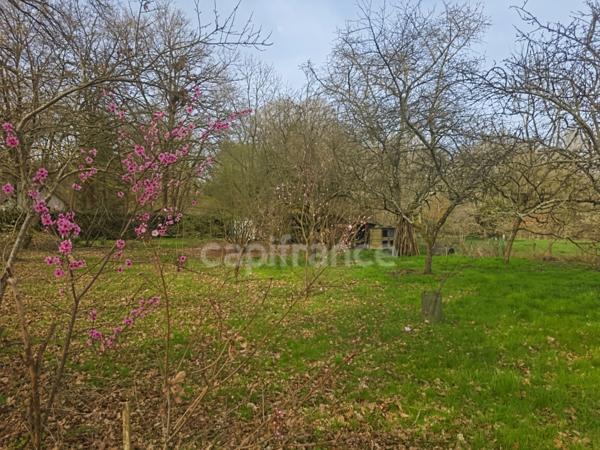 Entre Le Mans et Tours, découvrez ce terrain de loisirs et son chalet au cœur d’un environnement naturel privilégié à Aubigné-Racan