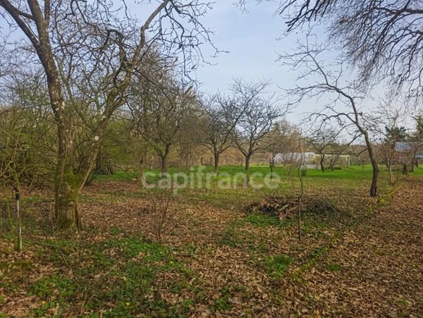 Entre Le Mans et Tours, découvrez ce terrain de loisirs et son chalet au cœur d’un environnement naturel privilégié à Aubigné-Racan