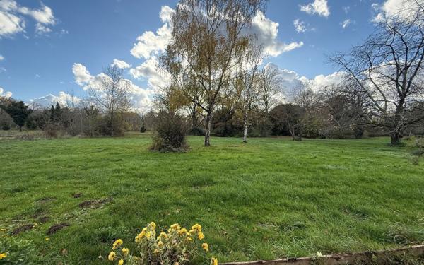 Maison à louer    5 pièces • 118 m2 Monnaie