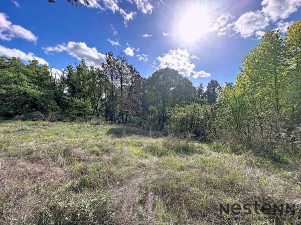 Villa à rénover T7 210 m2 sur terrain 7800 m2 Trets