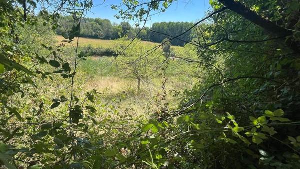 Terrain d'agrément et bois