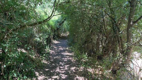 Terrain d'agrément et bois