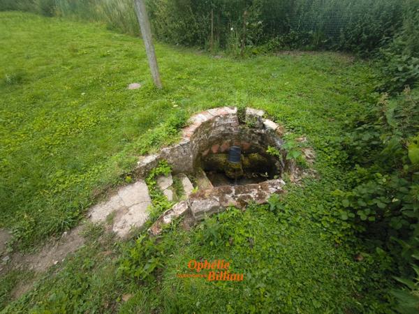 🏡 À vendre en exclusivité – Maison individuelle avec terrain de 2300 m² – Secteur Lillers