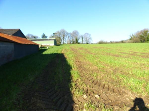 Vente / Corps de ferme