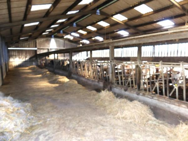 Vente / Corps de ferme