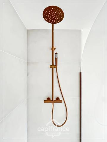 APPARTEMENT REFAIT A NEUF - EXPO PLEIN SUD - 5 FENETRES - GRANDE PIECE DE VIE - 1 CHAMBRE