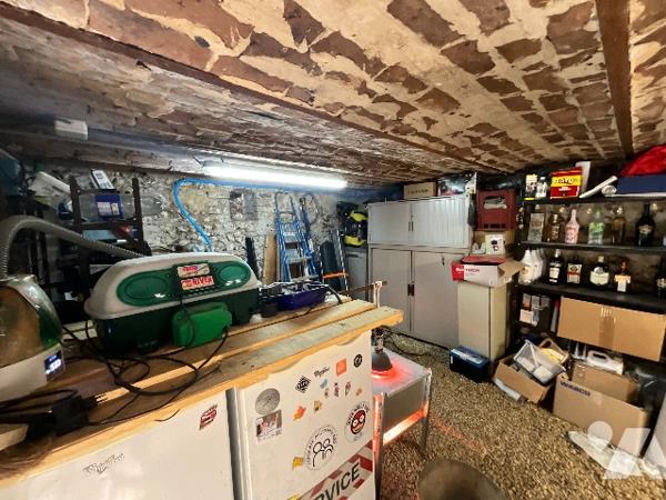 CHATEAU-RENAULT (37110) – Maison fin XIXe rénovée sur terrain arboré de 5 203 m² en cœur de ville