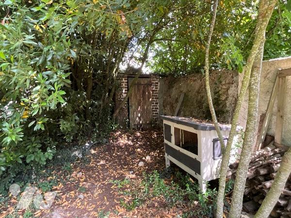 CHATEAU-RENAULT (37110) – Maison fin XIXe rénovée sur terrain arboré de 5 203 m² en cœur de ville