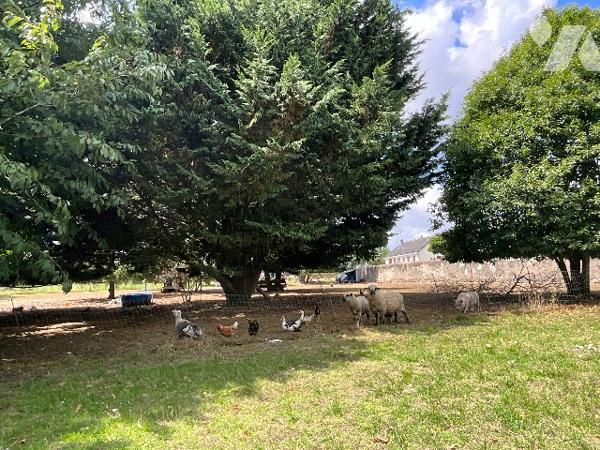 CHATEAU-RENAULT (37110) – Maison fin XIXe rénovée sur terrain arboré de 5 203 m² en cœur de ville