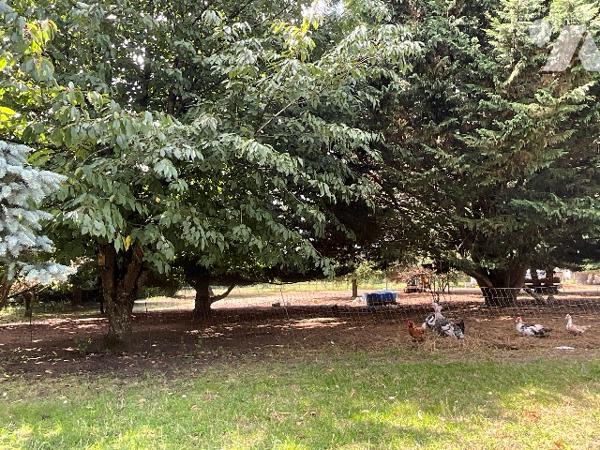 CHATEAU-RENAULT (37110) – Maison fin XIXe rénovée sur terrain arboré de 5 203 m² en cœur de ville