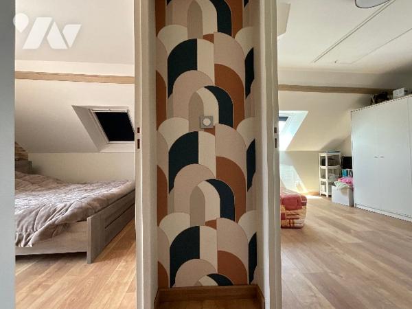 CHATEAU-RENAULT (37110) – Maison fin XIXe rénovée sur terrain arboré de 5 203 m² en cœur de ville