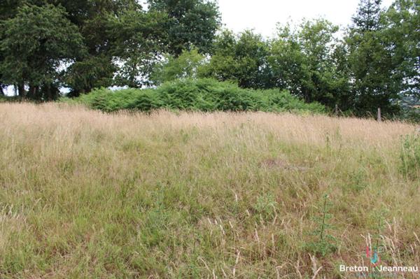 Fermette sur 1ha 75 à Chailland