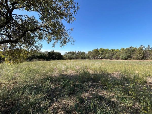 Terrain 16 200 m² + Maison autonome – Gigean – Vue imprenable – Calme absolu