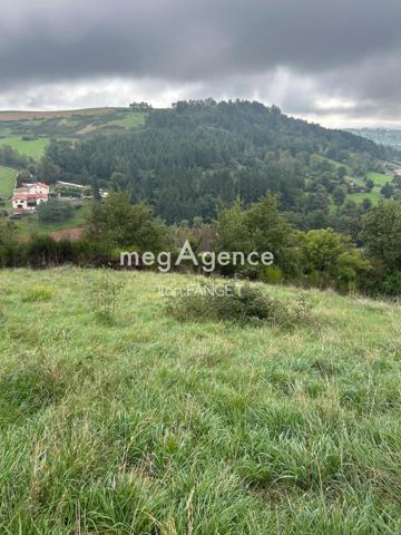 Terrain à SAINT-GALMIER, 42330 - 964m²