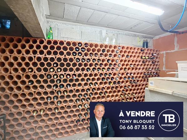 Saint-Hilaire-de-Brens (38460) ST HILAIRE DE BRENS - 2 VILLAS AVEC PISCINE INTERIEURE