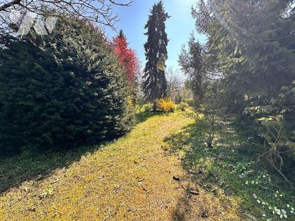 EXCLUSIVITÉ AU COEUR DE SAINT JULIEN DU SAULT :
Propriété sur 1830 m² de terrain comprenant de...