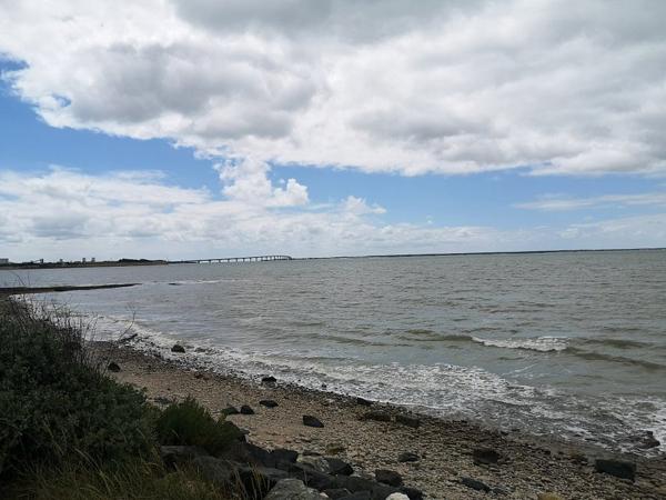 17137 NIEUL SUR MER Terrain viabilisé - Nieul Sur Mer/Le Payaud 1261 m2